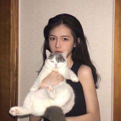 桃源乡测试版下载